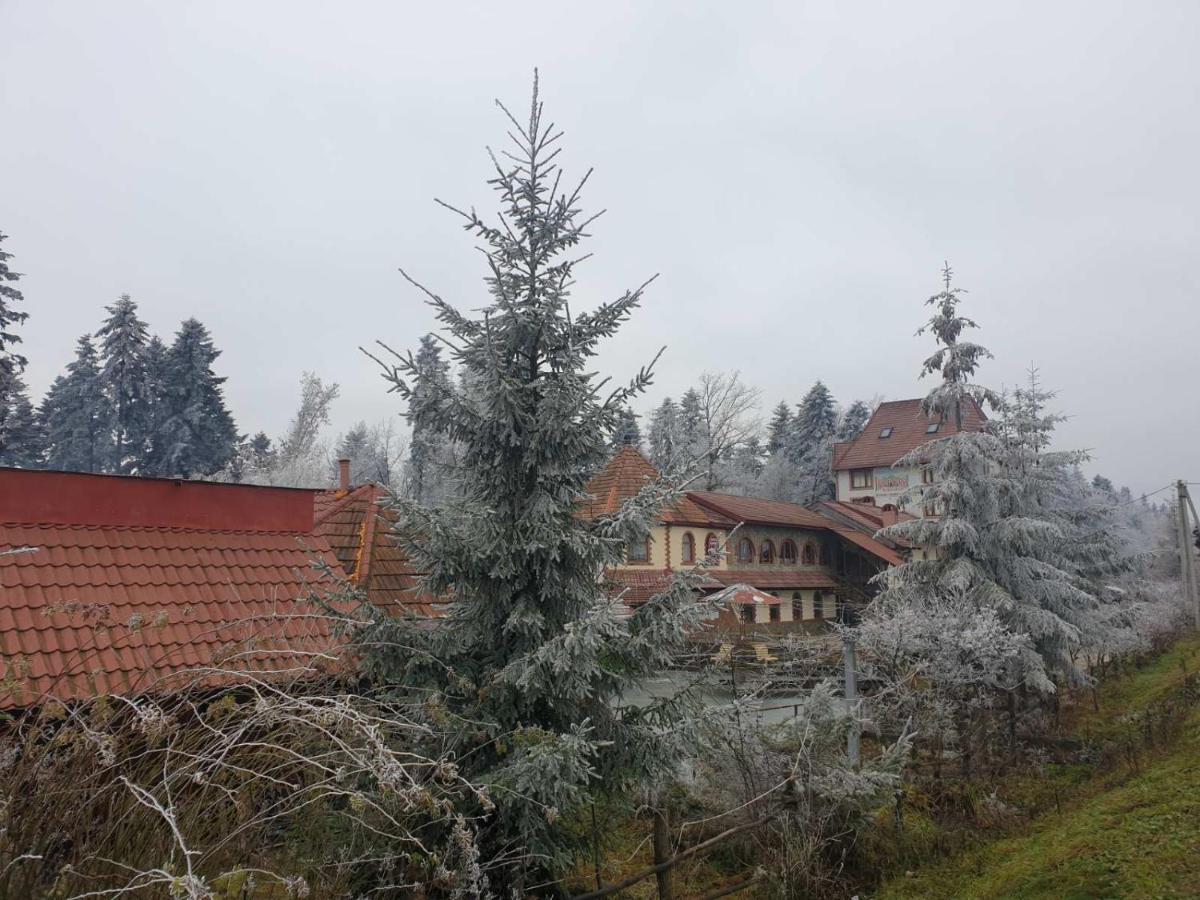 فندق ворота карпат Dilyatyn