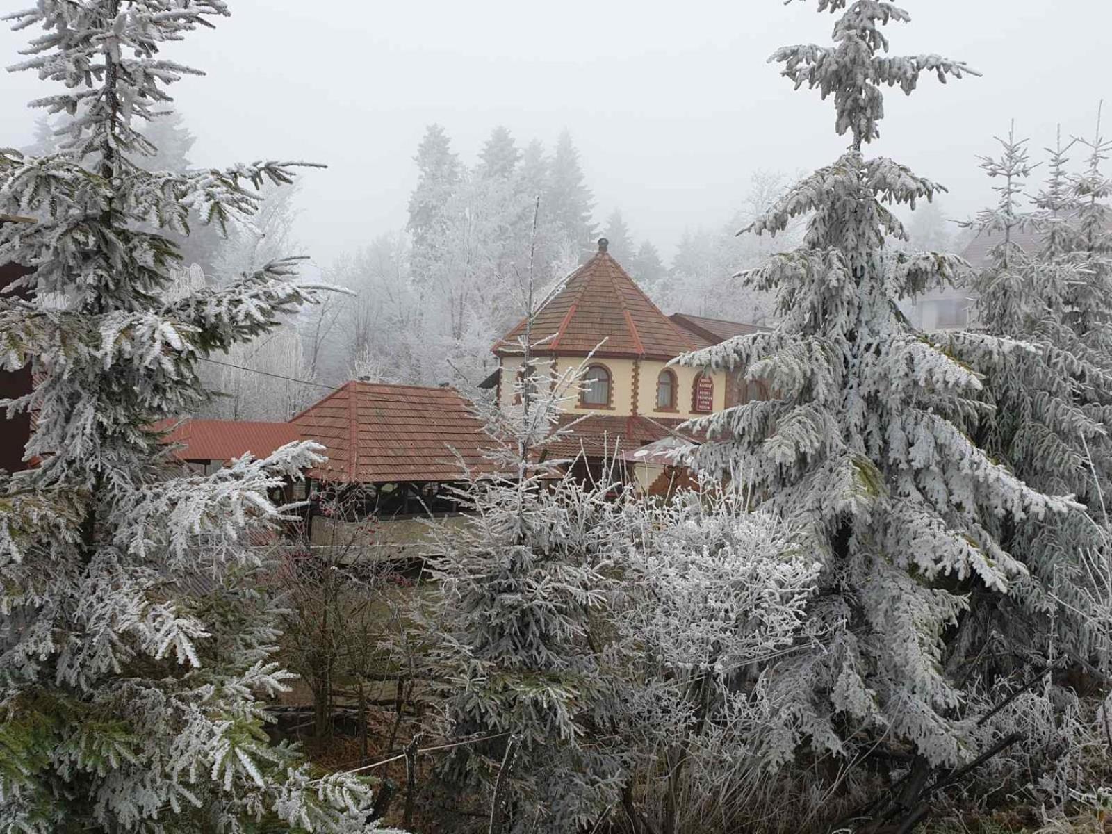 ворота карпат فندق Dilyatyn